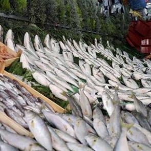 Doktorlar bile şaşırdı: İşte bağışıklığı &ccedil;elik gibi yapan 5 balık