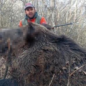 Elazığ'da s&uuml;r&uuml; halinde avladılar! C&uuml;sseleri korkutucu b&uuml;y&uuml;kl&uuml;kte