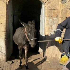 Mardin'in "kadrolu eşeklerinden" haber var: Emekliliklerinin &ouml;n&uuml; a&ccedil;ılıyor