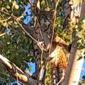 Tunceli'de bir k&ouml;yl&uuml; g&ouml;r&uuml;nt&uuml;ledi: &Ouml;ld&uuml;rmenin cezası 45 milyon TL