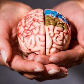 Beyninizi 8 sene birden gen&ccedil;leştiriyor! Şartlara sahip olan yaşadı