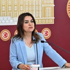 DEM'li Ko&ccedil;yiğit: "Silahların susması bir sonu&ccedil; değil, başlangı&ccedil;tır" 