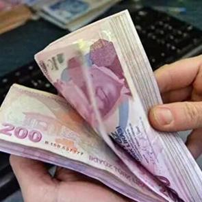 Fiyatı 50 bin TL'yi ge&ccedil;ti! Evinde olanlar k&acirc;r &uuml;st&uuml;ne k&acirc;r sağlayacak