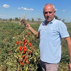 "Se&ccedil;im" ismi verildi! İşte aldığı ismin ilgin&ccedil; hik&acirc;yesi 