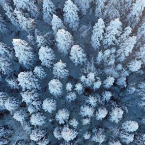 K&uuml;re Dağları&rsquo;nda kartpostallık kış manzaraları