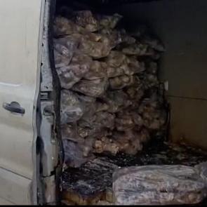 Manisa'da mide bulandıran g&ouml;r&uuml;nt&uuml;ler! Değeri 4 milyon değerinde!