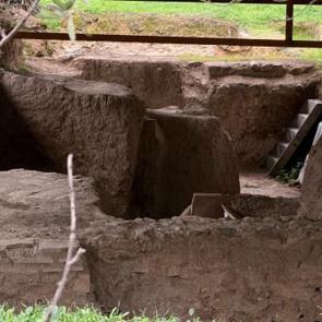 Tarla gece g&uuml;nd&uuml;z korunuyor! Bilinen tek &ouml;rnek g&uuml;n y&uuml;z&uuml;ne &ccedil;ıkarıldı 