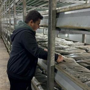 Memurluğu bıraktı k&ouml;y&uuml;ne d&ouml;nd&uuml;: Devlet desteğiyle hayatı değişti