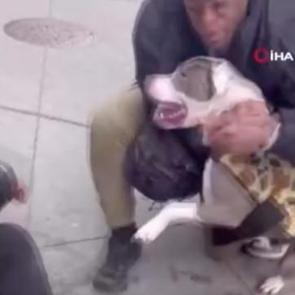 ABD&rsquo;de pitbull dehşeti: 1 yaşındaki &ccedil;ocuğun bacağını dakikalarca bırakmadı