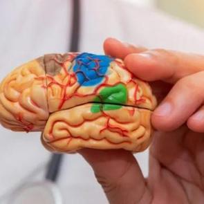 Beyninizi 6 ay birden yaşlandırıyor! Hızla beyin yaşınızı y&uuml;kseltiyor