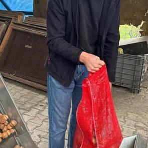 T&uuml;t&uuml;n&uuml; bırakıp ceviz yetiştirdiler! Fiyatı u&ccedil;tu, kapış kapış gidiyor! 