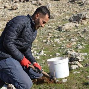 K&uuml;resel ısınmaya dikkat &ccedil;ekti! 2 yılda 20 binden fazla tohum ekip, fidan dikti