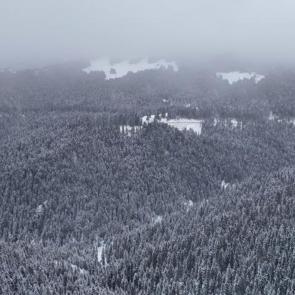 Kartpostallık manzara: Ilgaz Dağı beyaza b&uuml;r&uuml;nd&uuml;