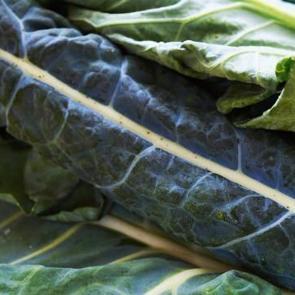 Kemiklerinizi kuvvetlendiriyor: G&uuml;c&uuml;n sırrı onda! Kapış kapış gidiyor