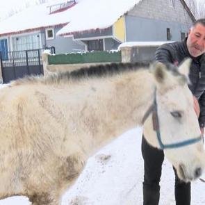 Muş'ta kışın &ouml;l&uuml;me terk edilen canlara sahip &ccedil;ıkıyor