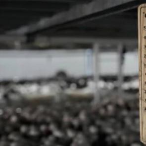 1 odada başladı, şimdi siparişlere yetişemiyor: 40 g&uuml;nde tam 3,5 ton!