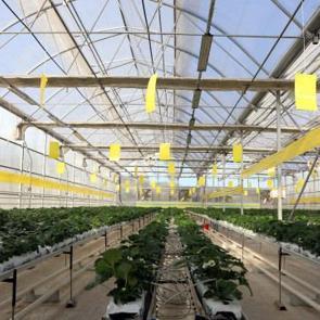 Gaziantep'te dev tesis harıl harıl &ccedil;alışıyor! &Ccedil;&ouml;pler elektriğe d&ouml;n&uuml;yor!