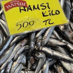 Balıkta yokluk senesi! Kilosu 250 TL&rsquo;den başlıyor