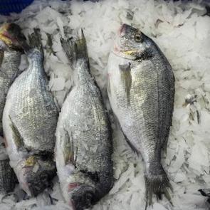 Su &uuml;r&uuml;nlerinde Cumhuriyet tarihinin rekoru! 93 &uuml;lke sıraya girdi! 