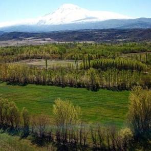 2B arazilerinde başvuru ve &ouml;deme s&uuml;resi uzatılıyor