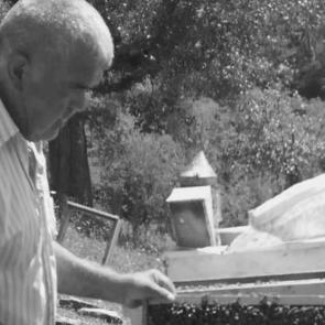 65 yaşındaki adamın feci &ouml;l&uuml;m&uuml;: Ağacın altında kaldı!