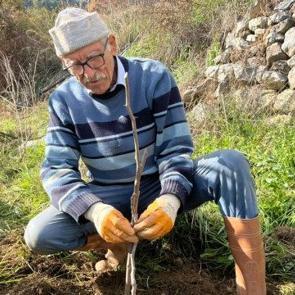 82 yaşındaki Mevl&uuml;t emminin imrendiren toprak projesi: Bin 670 ağa&ccedil; dikti 