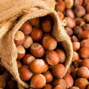 Tam tamına 238 bin ton! İşte T&uuml;rkiye'nin en &ccedil;ok fındık sattığı &uuml;lke