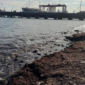 Sahil bir anda kırmızıya d&ouml;nd&uuml;: K&ouml;t&uuml; kokuya neden oldu!