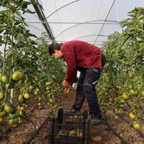 Devlet desteğiyle kendi işlerinin sahibi oldular, &uuml;retime başladılar