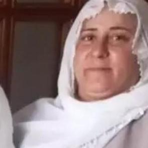 Diyarbakır&rsquo;da kaybolan kadını arama &ccedil;alışmaları 3&rsquo;&uuml;nc&uuml; g&uuml;n&uuml;nde