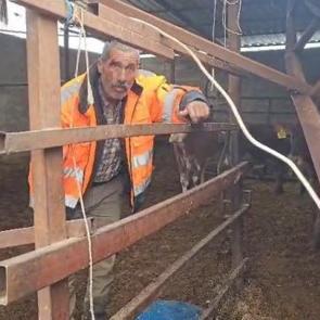 Gaziantep'te besicinin acı feryadı: "Biz bittik, t&uuml;m emeğimiz gitti"