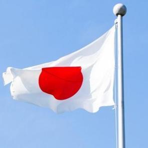 Japonya'da erken se&ccedil;im kararı