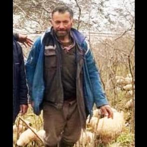Koyun otlatırken &ccedil;ığ altında kalan &ccedil;obanın feci &ouml;l&uuml;m&uuml;
