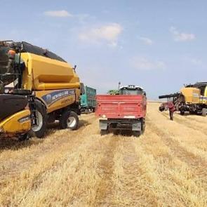 Tarımda t&uuml;m zamanların en y&uuml;ksek yıllık ihracatı