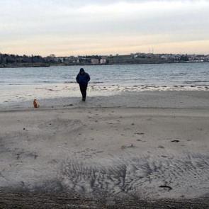 Tekirdağ'da denizdeki hareketlilik b&ouml;lge halkını tedirgin etti