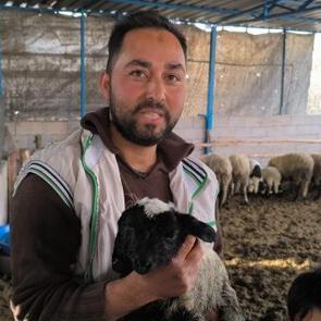 2 kafası, 4 g&ouml;z&uuml; var! Besici g&ouml;rd&uuml;ğ&uuml; karşısında şok oldu