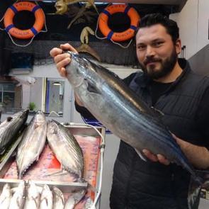 &Ccedil;anakkale'de torik tezg&acirc;hlara ge&ccedil; geldi: Fiyatı duyan iki kez d&uuml;ş&uuml;nd&uuml; 