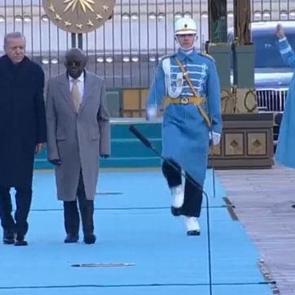 Cumhurbaşkanı Erdoğan, Nijerya Cumhurbaşkanı Tinub'u ağırlıyor