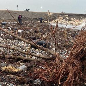 Selin vurduğu Mersin'de sahile akın edip teker teker topladılar