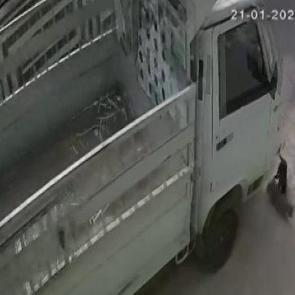 Adana'da iki kediyi ezmişti: Mahkemeden unutulamayacak ceza