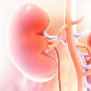 B&ouml;brek hastalarında beslenmede tek &ccedil;&ouml;z&uuml;m: Parmak izi gibi kişiye &ouml;zel diyet