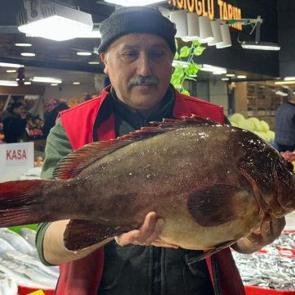 &Ccedil;eyrek altın getiren dev balığı alıyor! Nadir bulunan balık Sivas'ta satışa &ccedil;ıktı