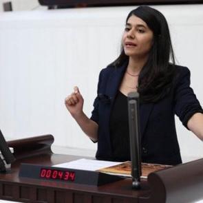 DEM'li vekilden akla ziyan iddia: K&uuml;rtlere K&uuml;rt oldukları i&ccedil;in trafik cezası kesiliyor