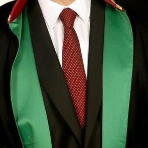 İstanbul'da su&ccedil;&uuml;st&uuml; yakalanan avukata servet değerinde ceza 