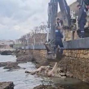 Kimse nereden geldiğini anlayamadı! &Ccedil;anakkale'de denizde şaşırtan g&ouml;r&uuml;nt&uuml;