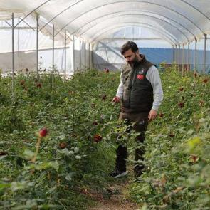 14 Şubat &ouml;ncesi sevgilileri &uuml;zecek haber! Fiyatları daha da y&uuml;kselecek