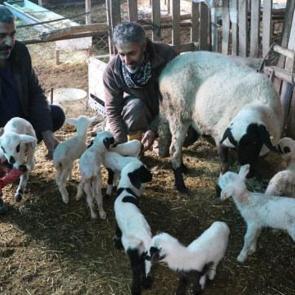 Denizli'de besiciler g&ouml;rd&uuml;ğ&uuml; manzara karşısında sevin&ccedil;ten havalara u&ccedil;tu! 
