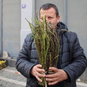 Doğada kendiliğinden yetişiyor! Kilogramı 150 TL 