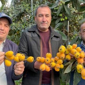 Sarı altın erken geldi! Yılın ilk yenid&uuml;nya hasadı yapıldı: Fiyatı dudak u&ccedil;uklattı