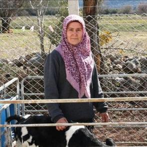 Denizli'de kadın girişimci devlet desteğiyle hayal ettiği &ccedil;iftliği kurdu